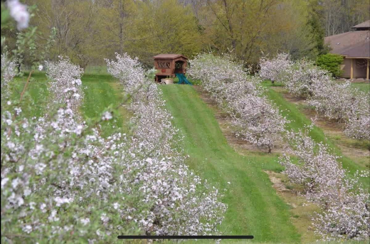 The Cortland Cottage At Brant'S Apple Orchard Ashtabula Exterior foto